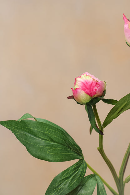 Faux pink bud peony stem