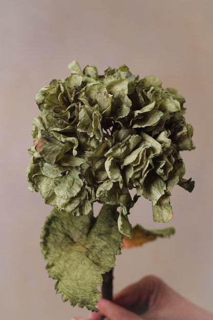 Faux Sage Dried Touch Ruffle Hydrangea