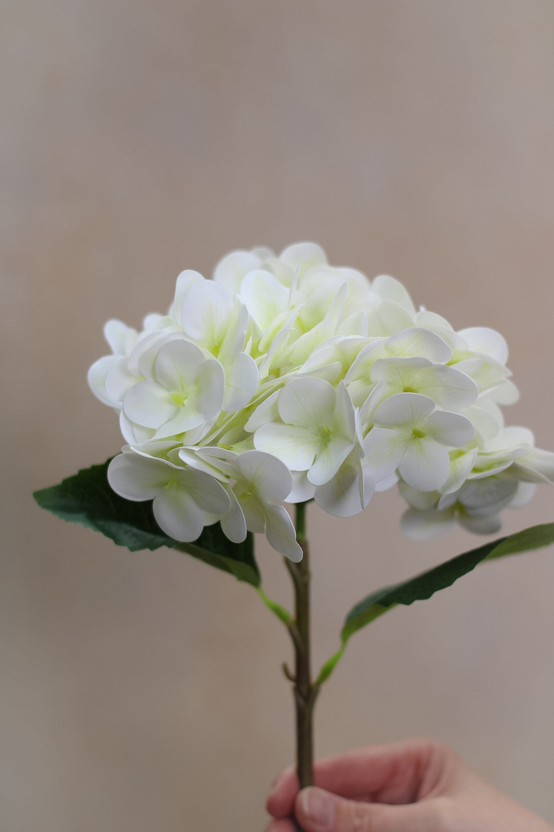 Faux Small Ivory and Soft Green Hydrangea Stem