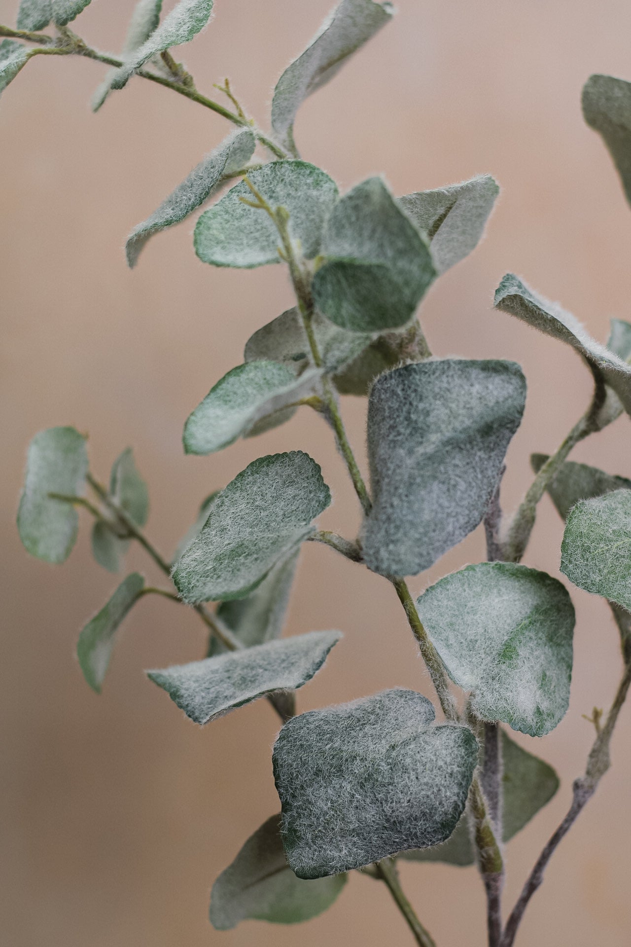 Faux Soft Green Eucalyptus Spray