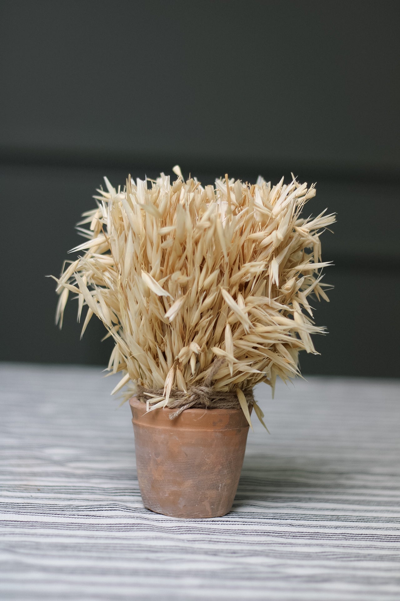 Dried Wheatgrass in Aged Terracotta Pot