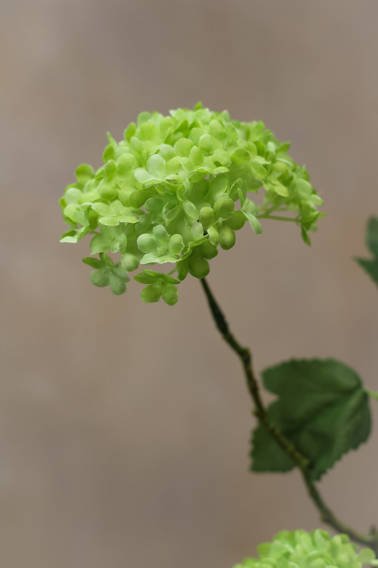 Faux Green Viburnum Spray