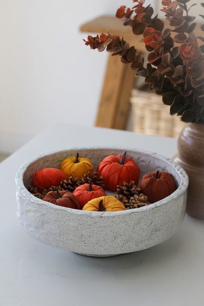 Bag of Autumn Orange Pumpkins and Pinecones