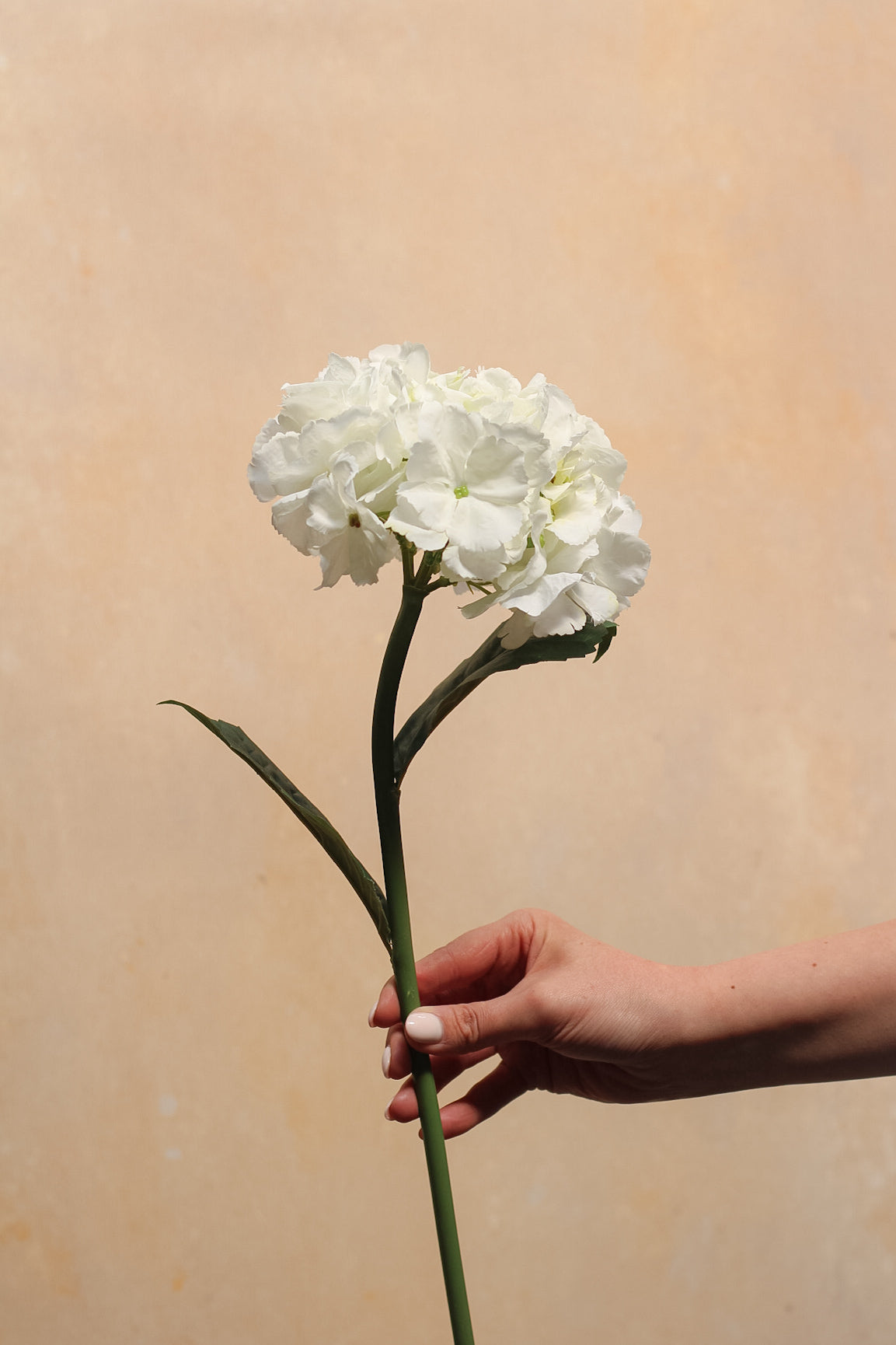 Faux Ivory Hydrangea Stem