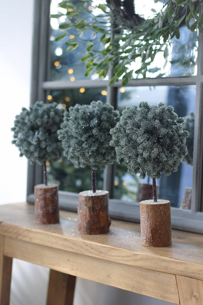 Rounded Green Fir Tree on Wooden Base