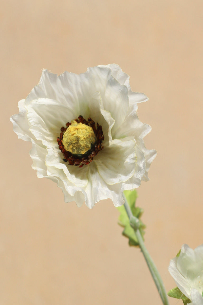 faux ivory country poppy