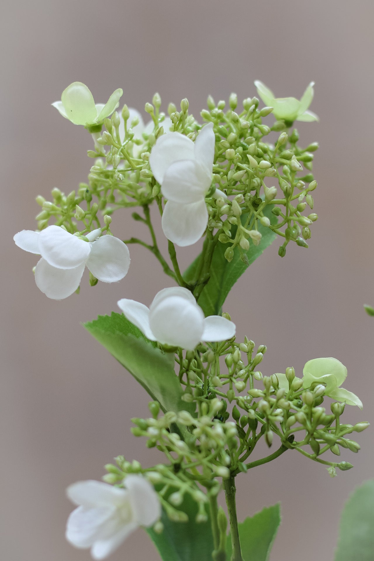 Faux Cream Viburnum Spray