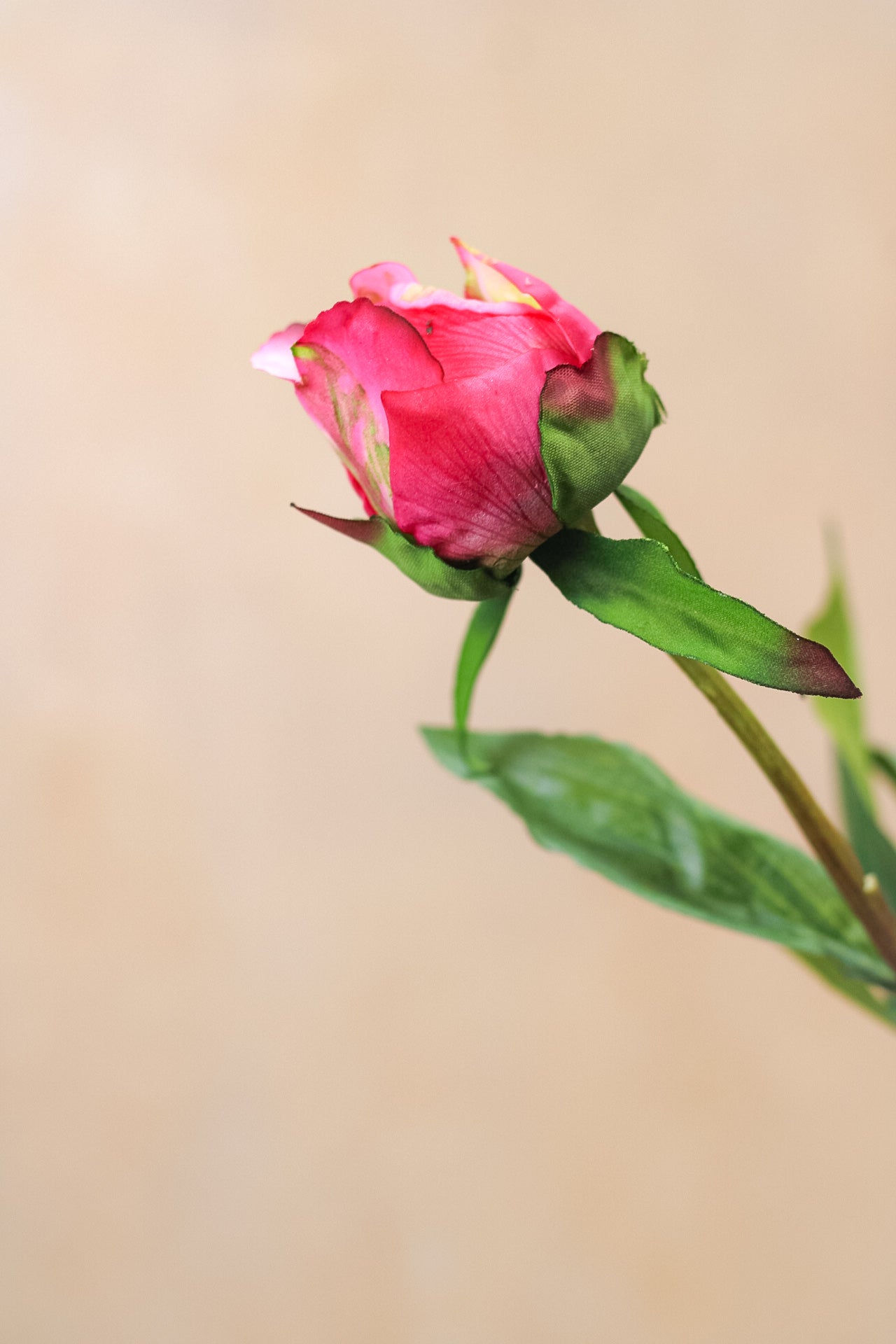 up close of artificial peony stem