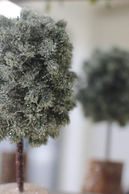 Rounded Green Fir Tree on Wooden Base