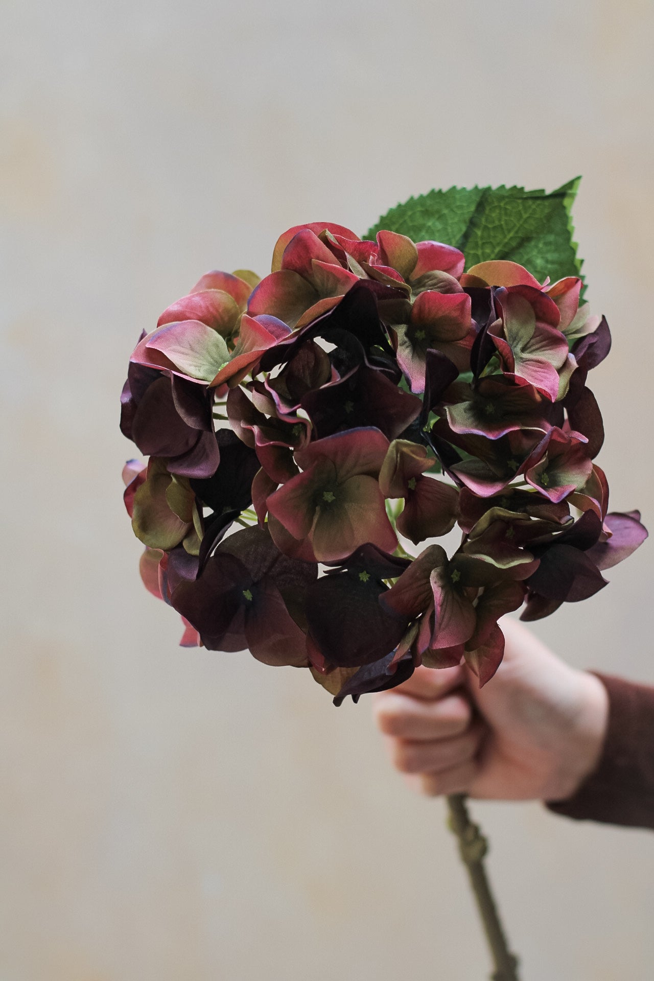 Faux Fig &amp; Olive Hydrangea Stem