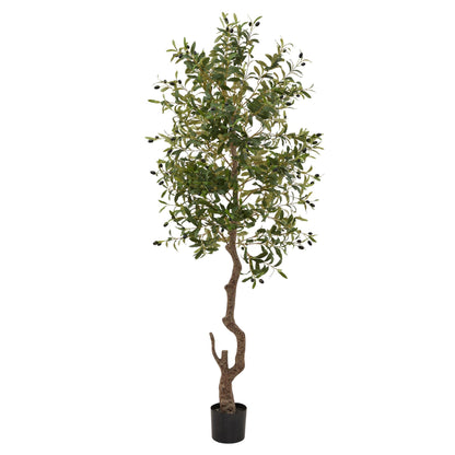 Large Faux Olive Tree