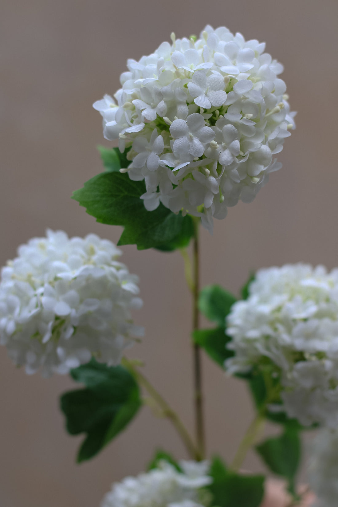 Faux White Viburnum Spray