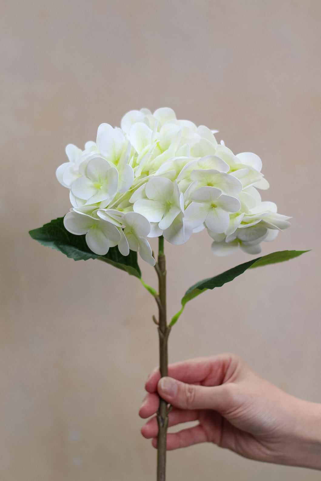 Faux Small Ivory and Soft Green Hydrangea Stem