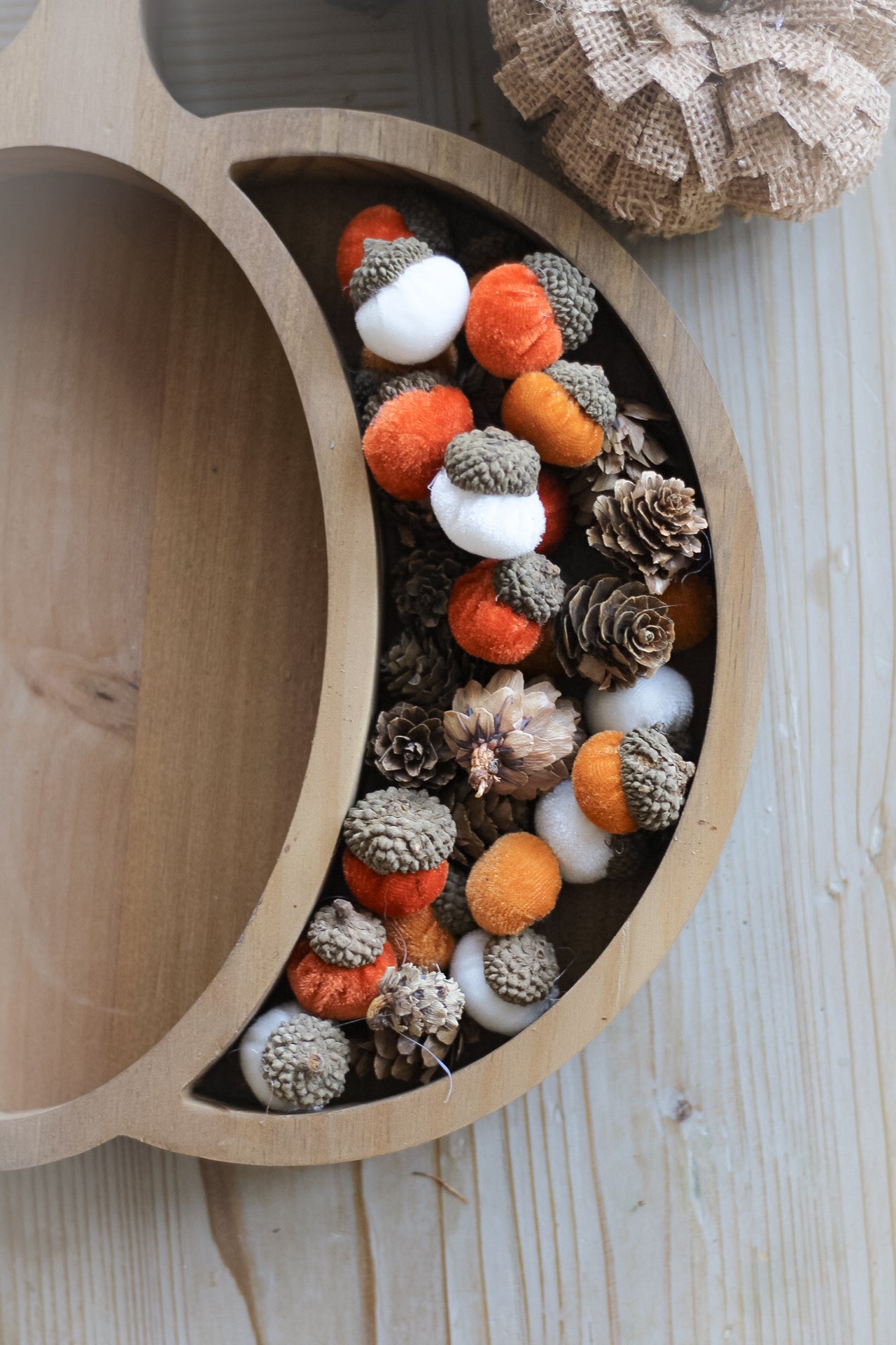 White &amp; Orange Acorn &amp; Pinecones