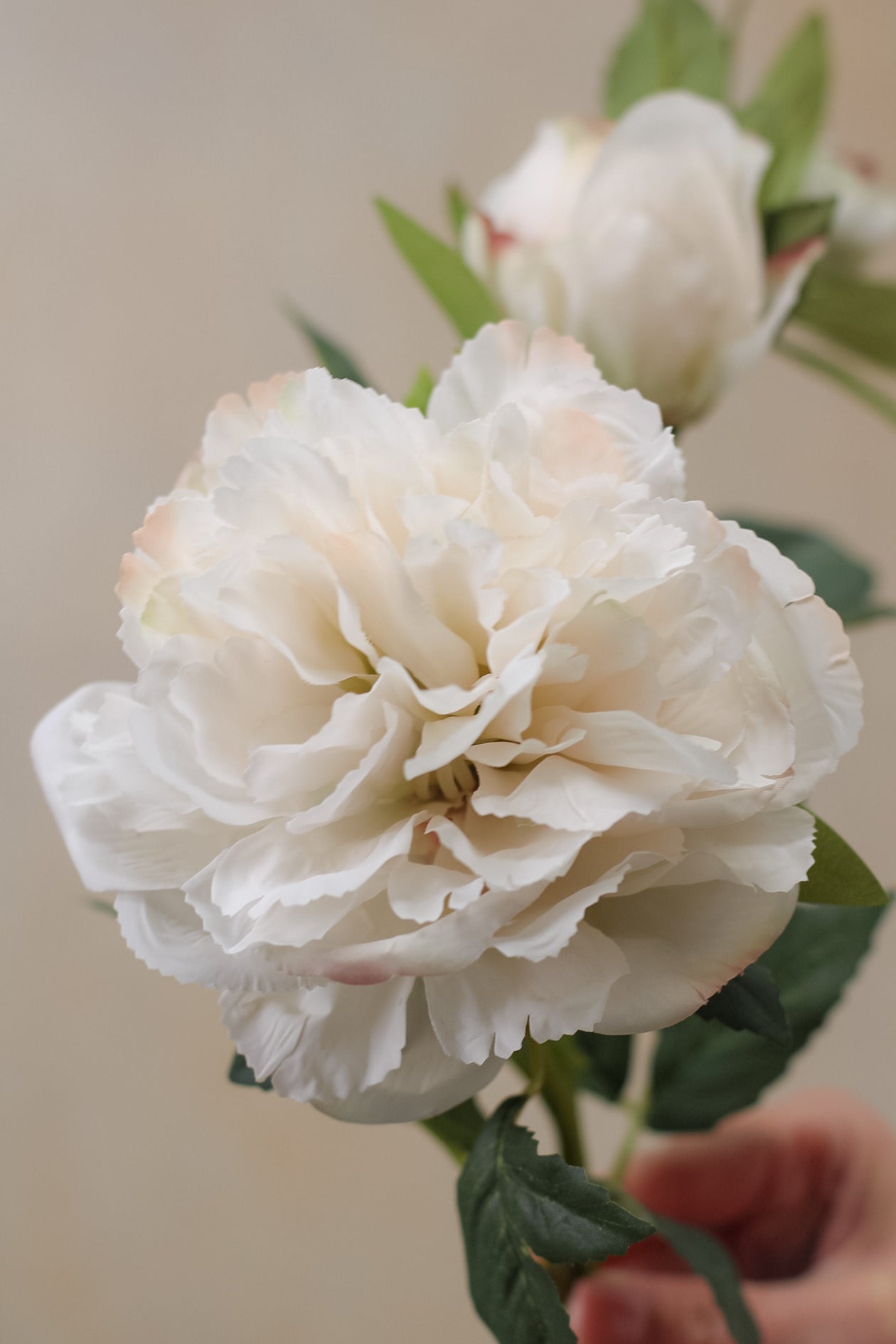 Faux Nude Peony &amp; Rose Spray