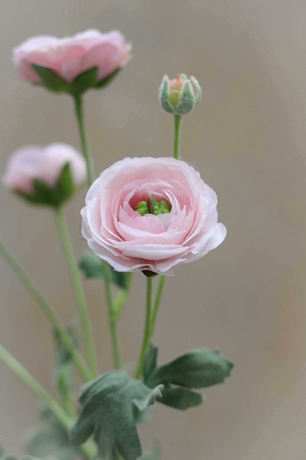 Faux Pale Pink Ranunculus Spray