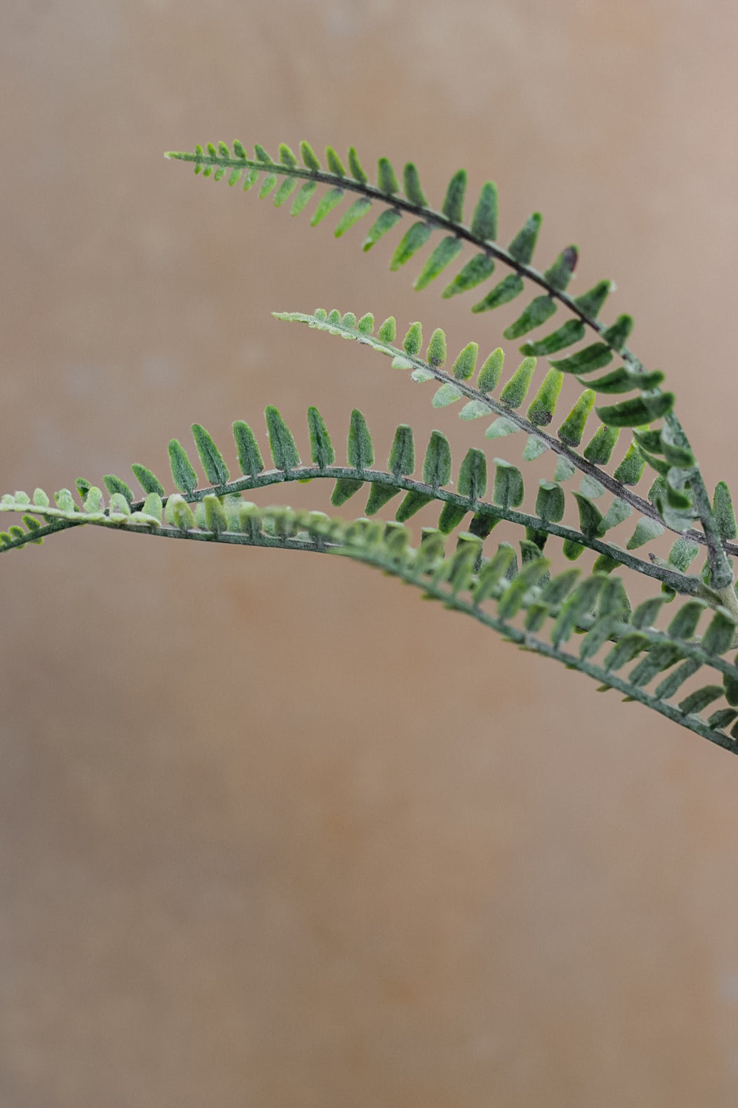 Faux Fern Spray