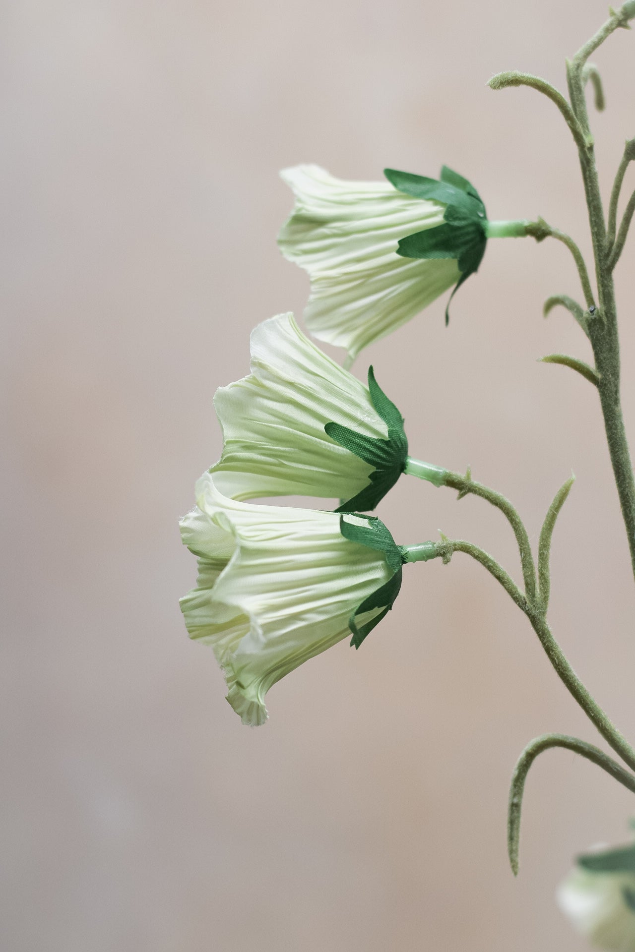 Faux Cream Canterbury Bells Stem