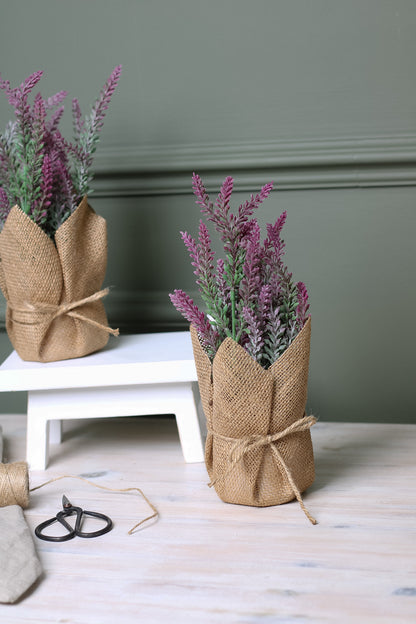 Lavender in Hessian Pot