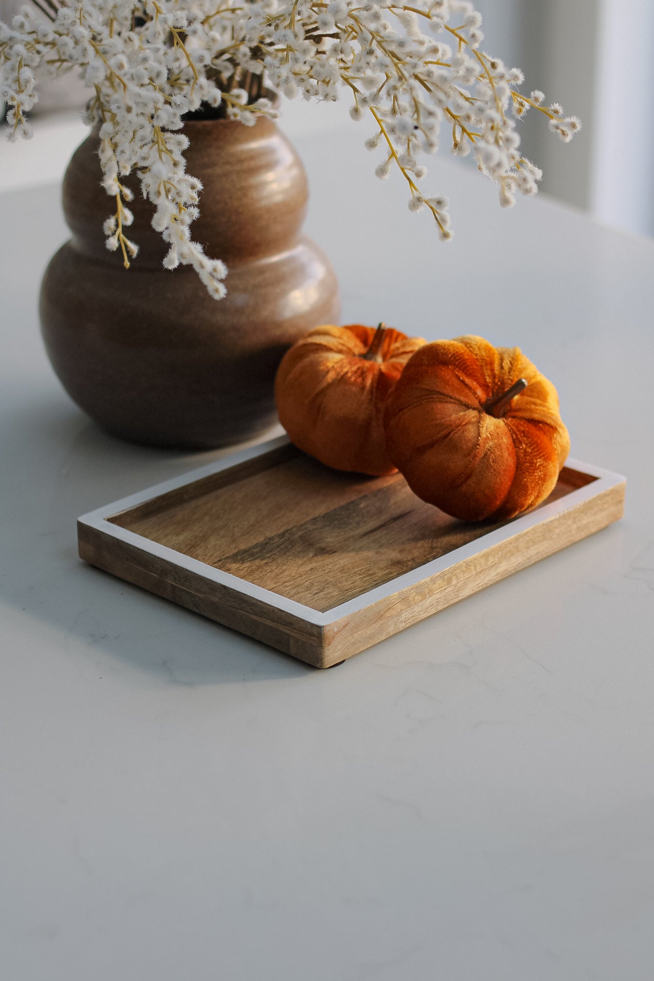 Small Mango Wood Tray