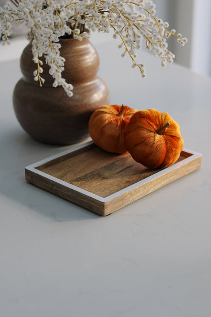 Small Mango Wood Tray