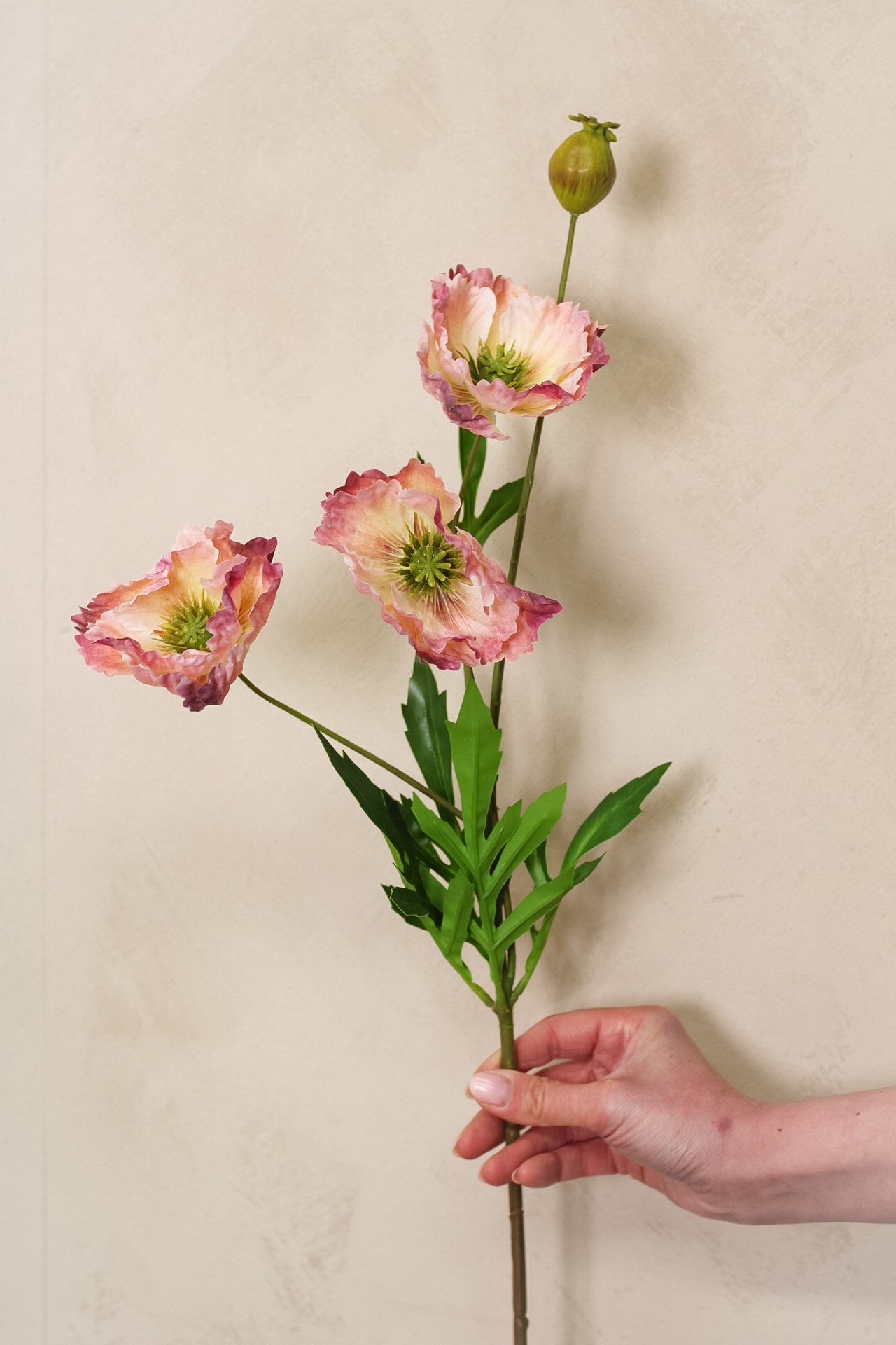 Faux Blush Pink Ombre Oriental Poppy Stem