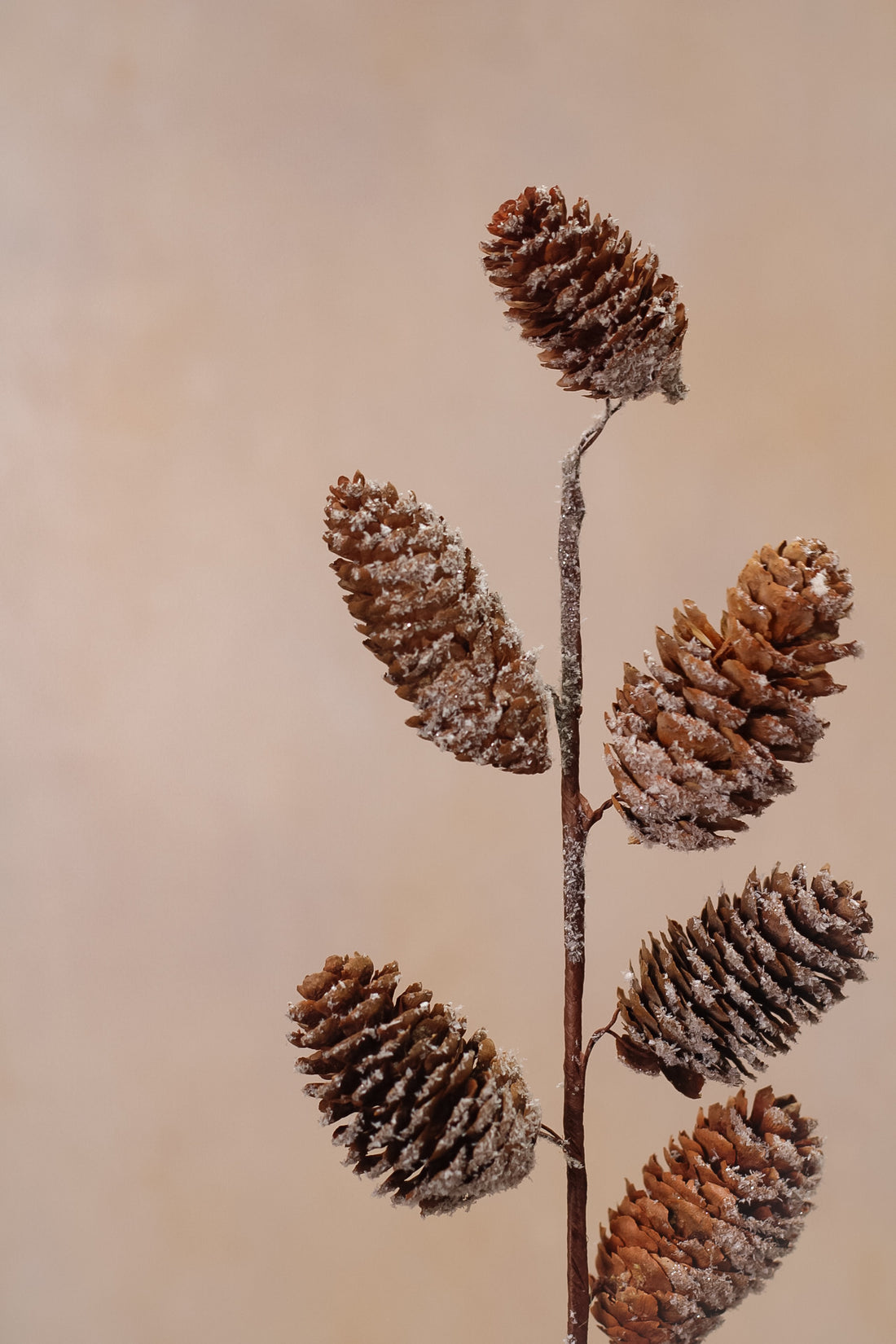 Faux Snow Dusted Pine Cone Spray