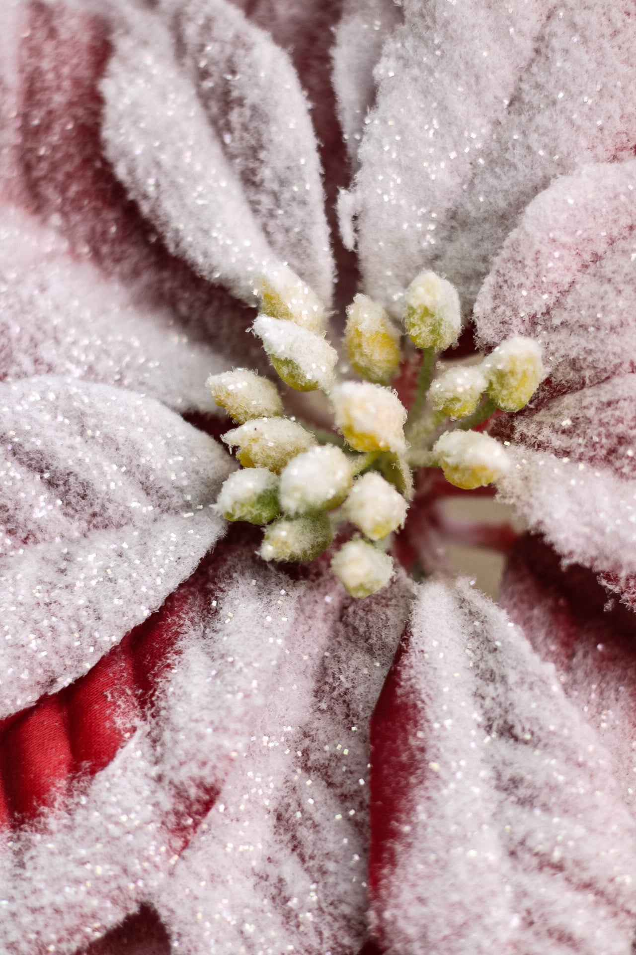 Faux Snow Frosted Poinsettia Stem