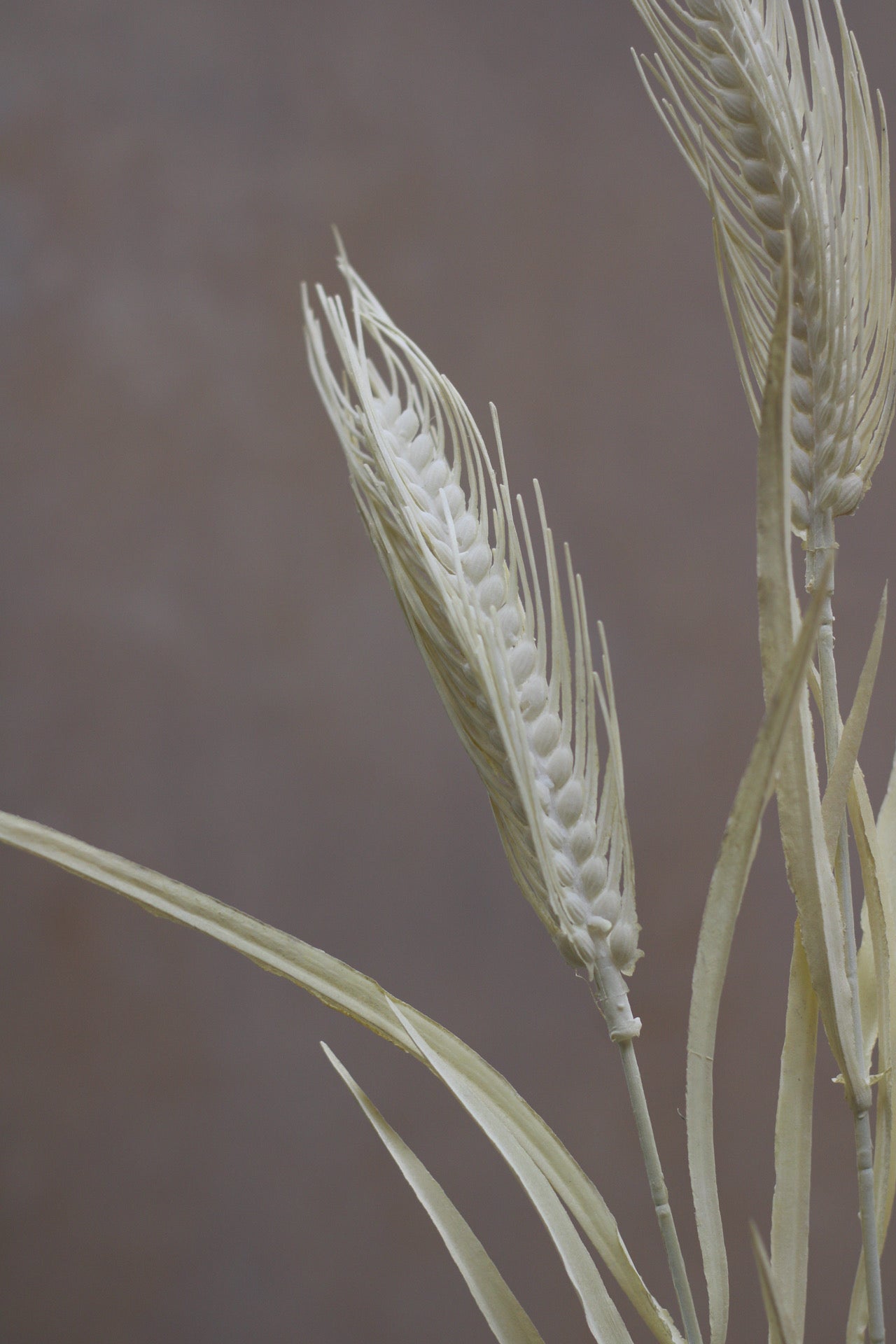 Faux Cream Wheat Spray