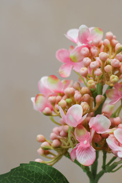 Faux Pink Budding Hydrangea