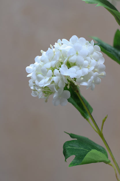 Faux White Viburnum Spray