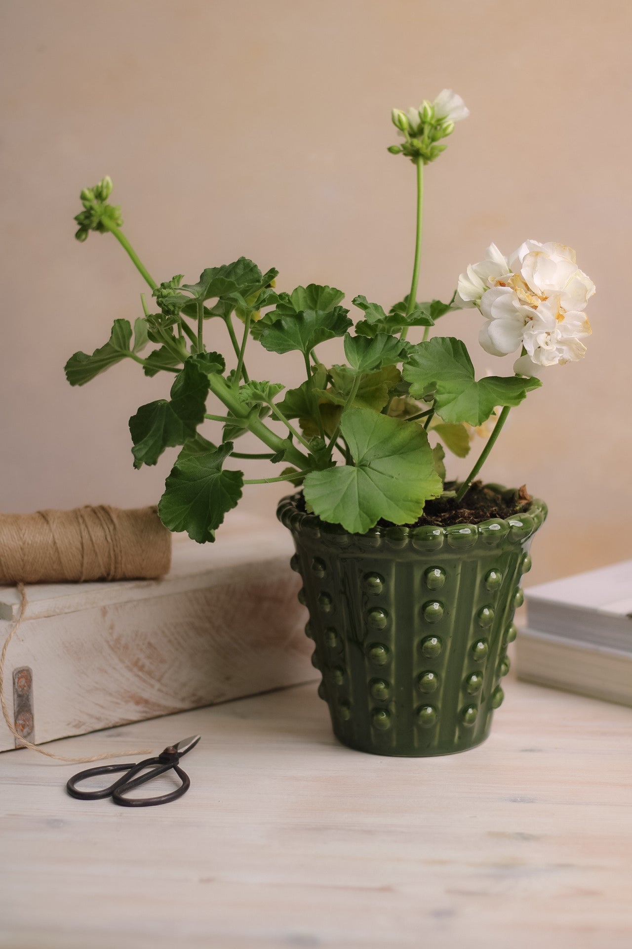 Green bobble planter