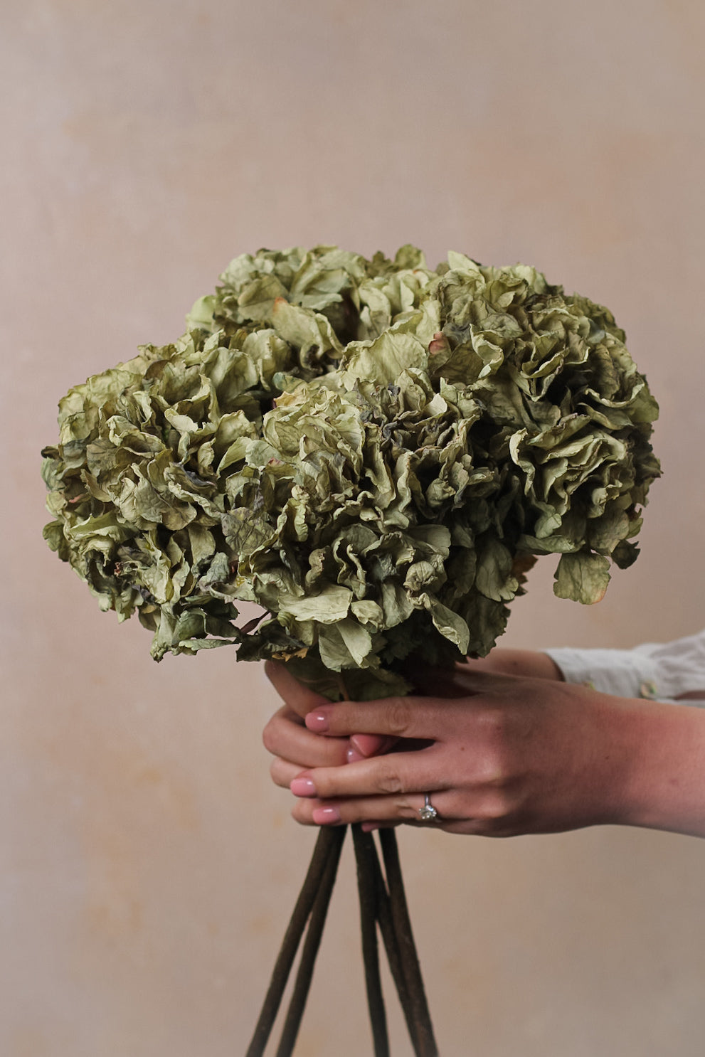 Faux Sage Dried Touch Ruffle Hydrangea