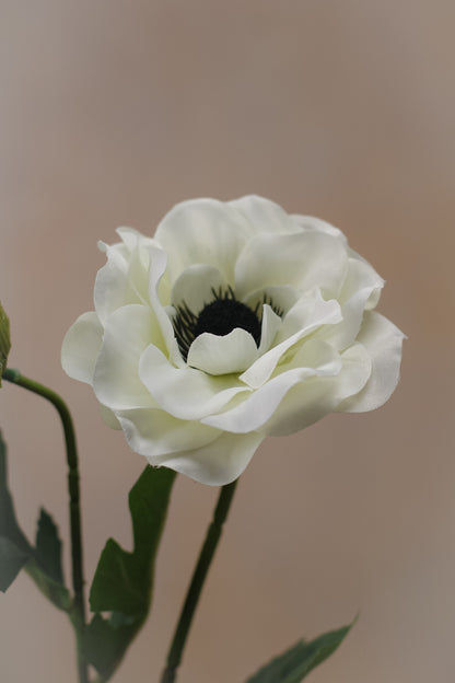 Faux Cream Anemone Spray