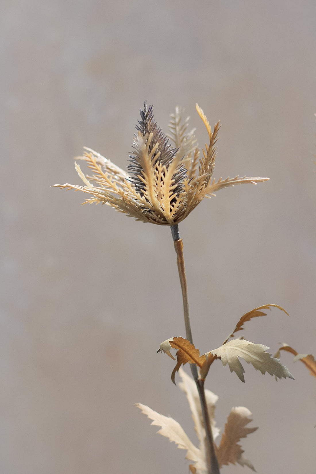 Faux Brown Dry Look Thistle Spray with Leaves