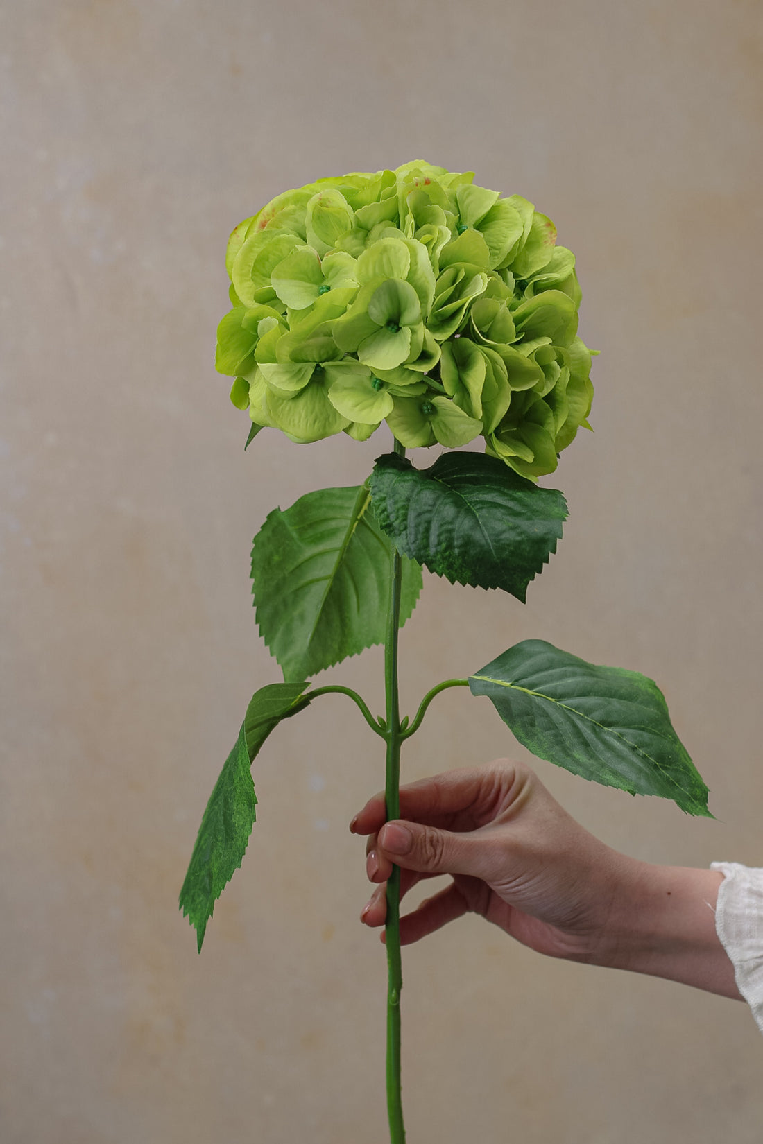 Faux Garden Green Hydrangea Stem