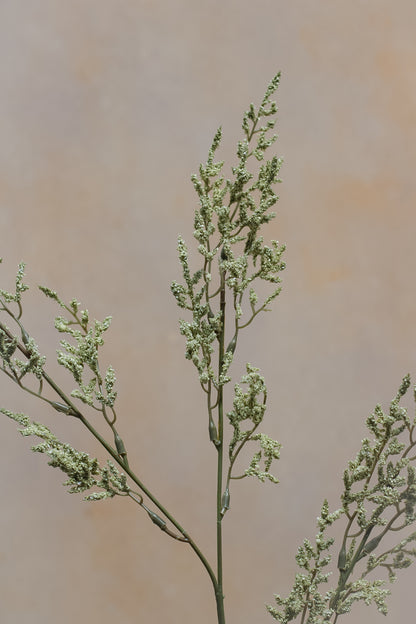 Faux Dried Green Limonium Stem