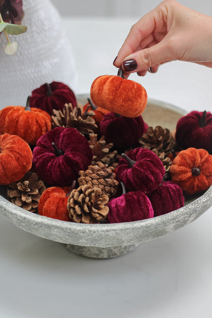 Box of Velvet Pumpkins &amp; Pinecones