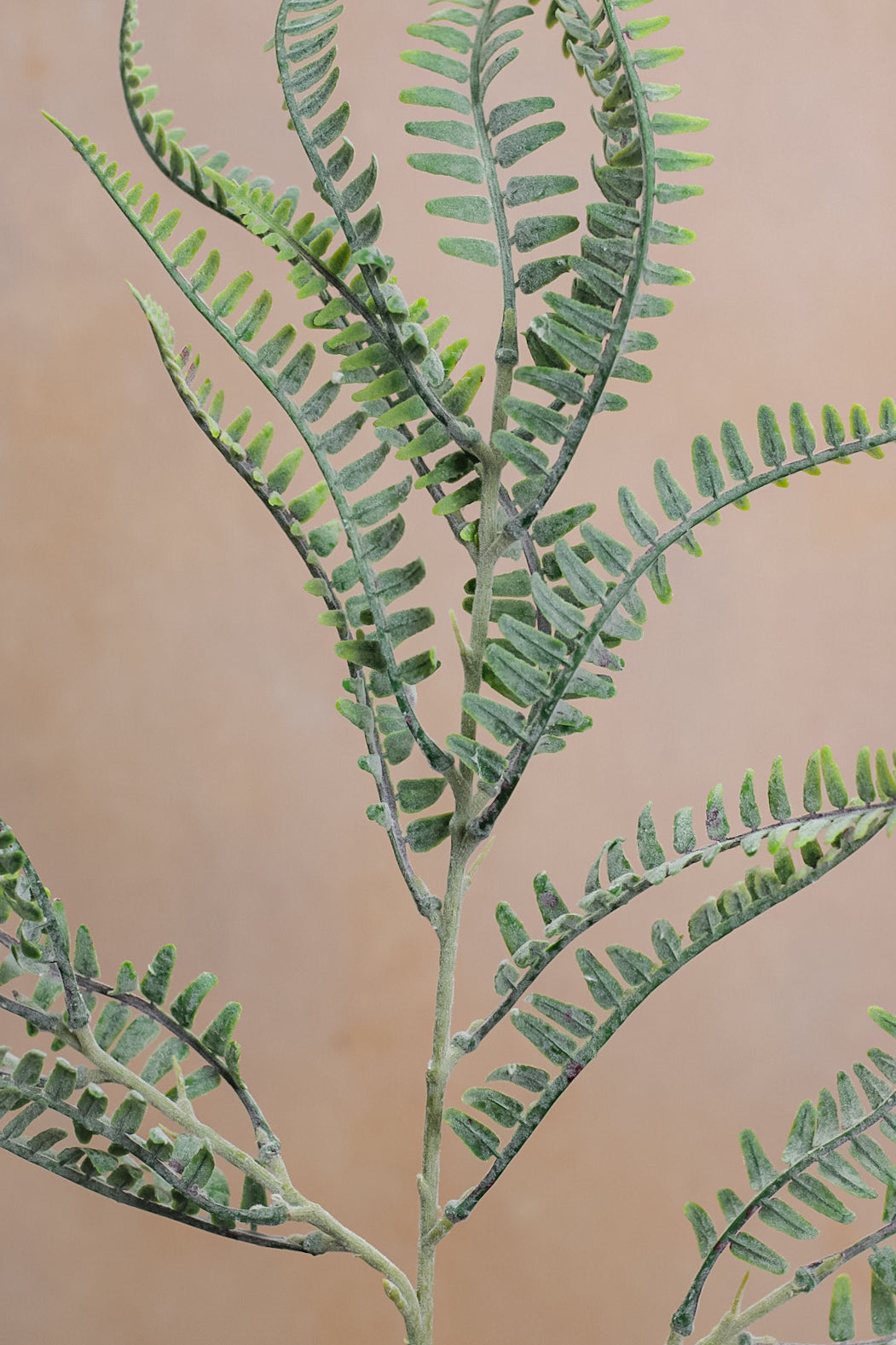 Faux Fern Spray