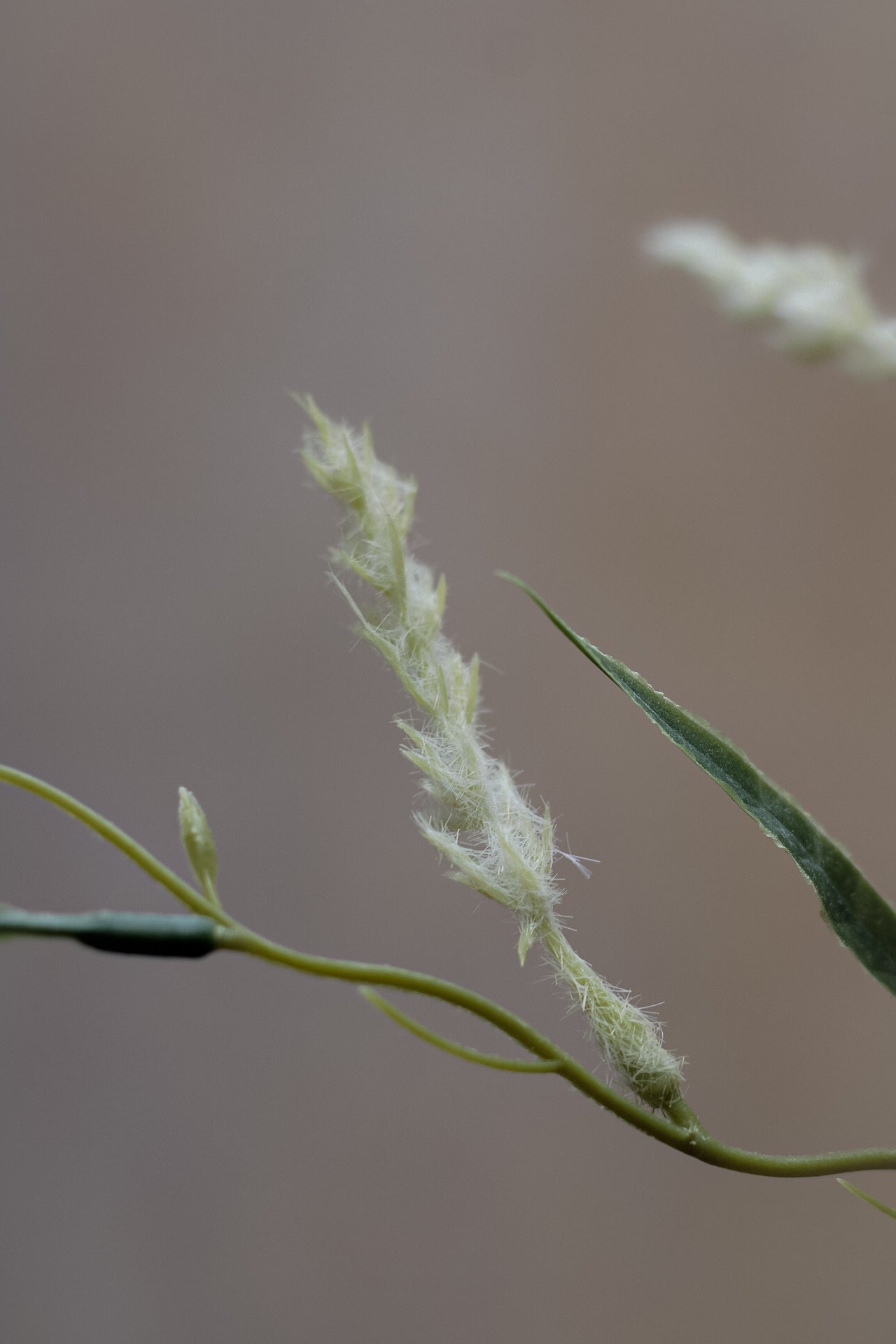 Faux Foxtail Grass Stem