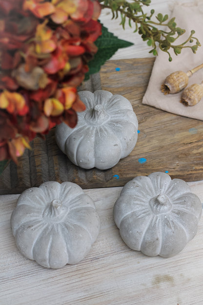 Grey Cement Pumpkin