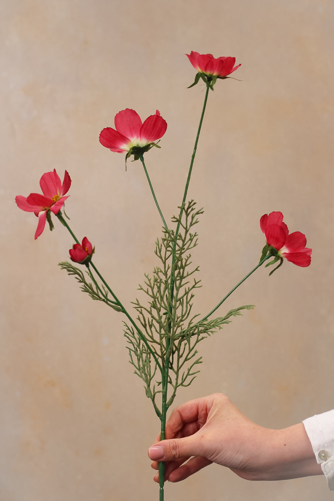 Faux Cerise Long Stemmed Cosmos Spray