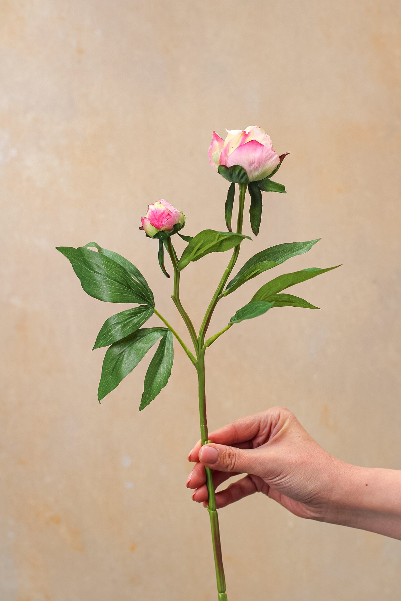 Faux Blush Pink Tight Bud Peony Spray