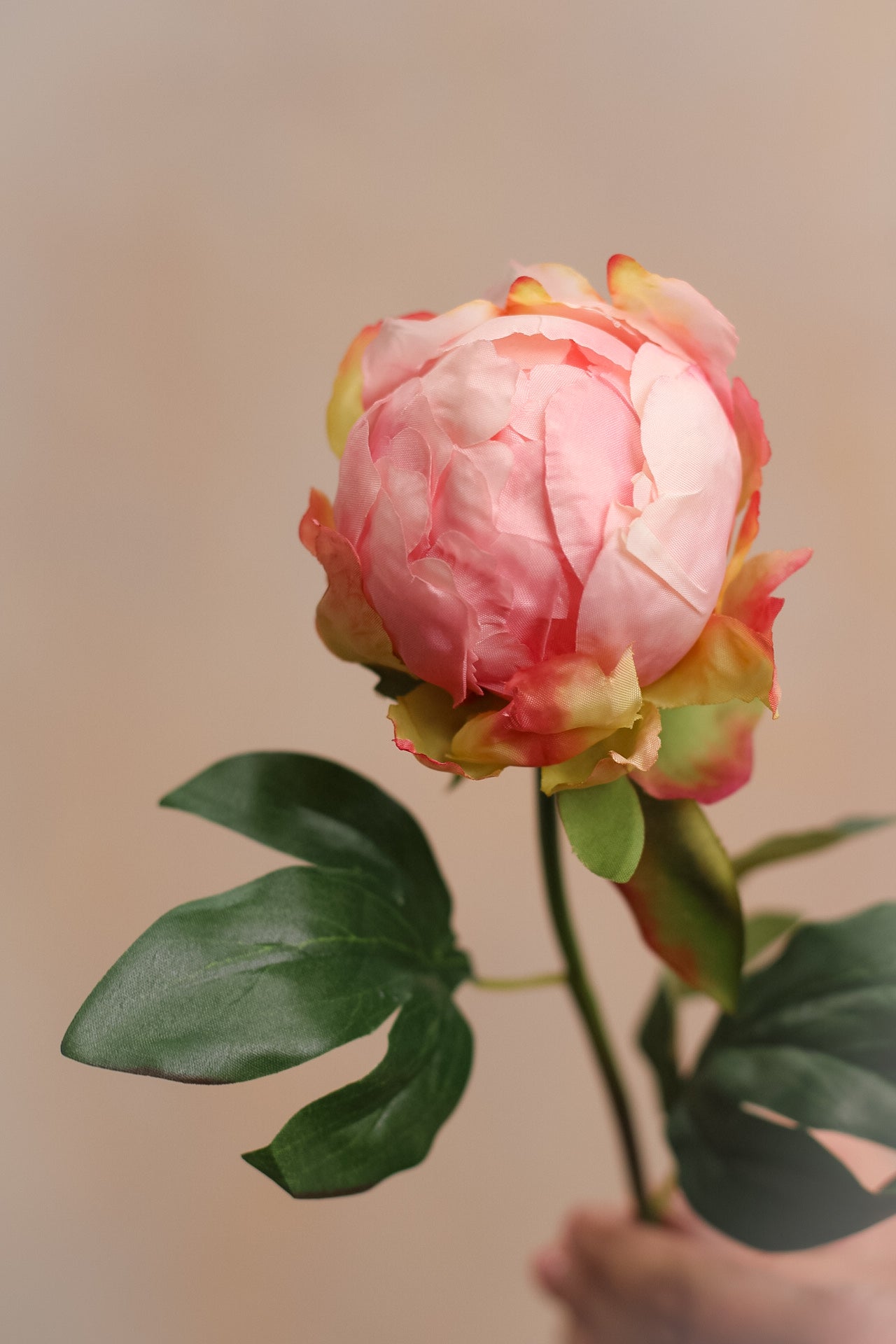 Faux Soft Pink Bud Peony Stem