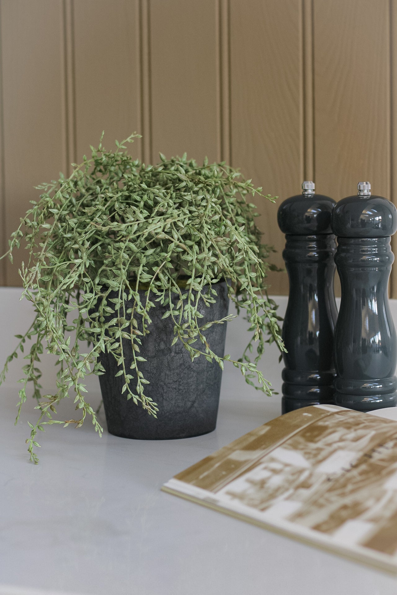 Faux Potted Grey Senecio Plant