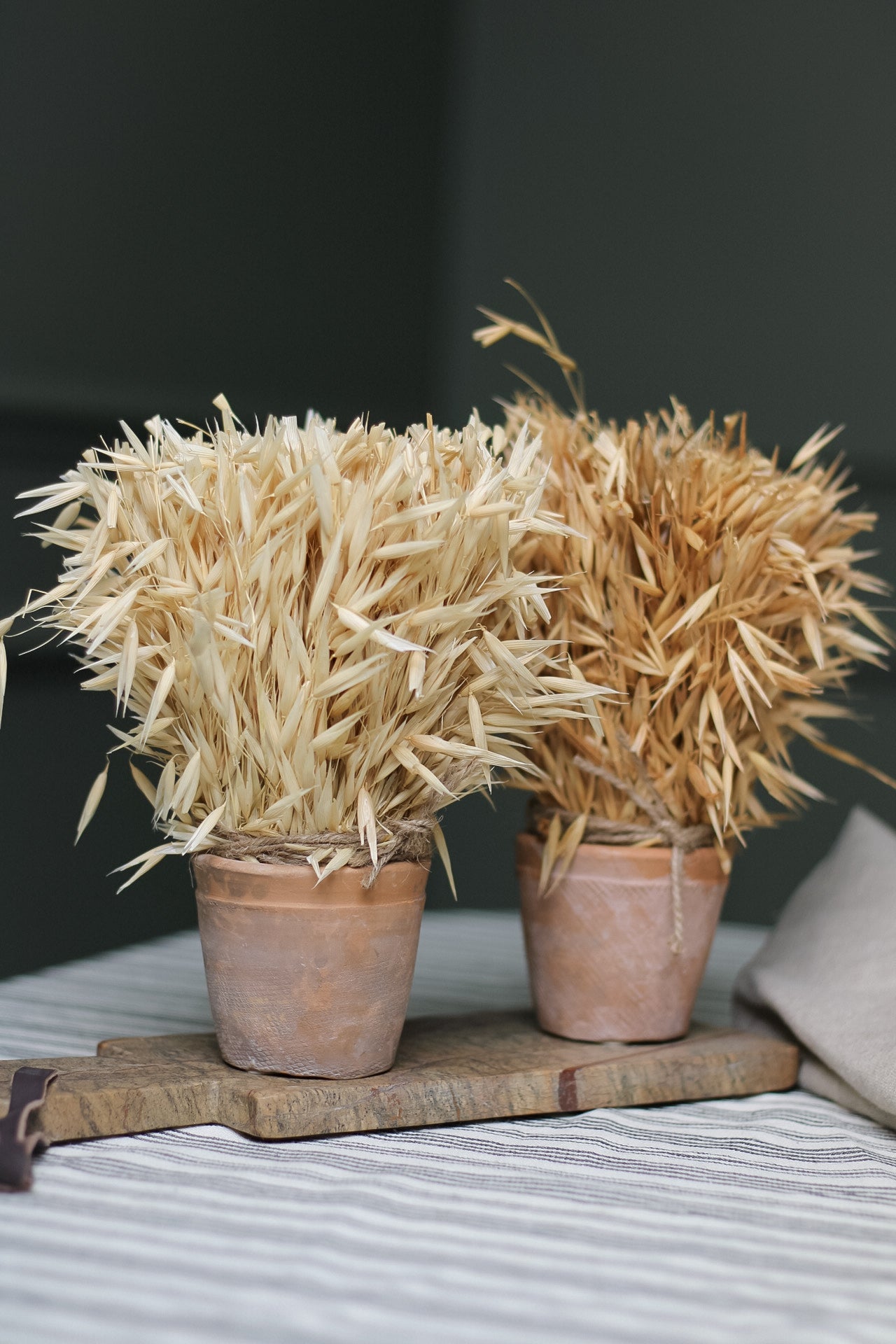 Dried Wheatgrass in Aged Terracotta Pot