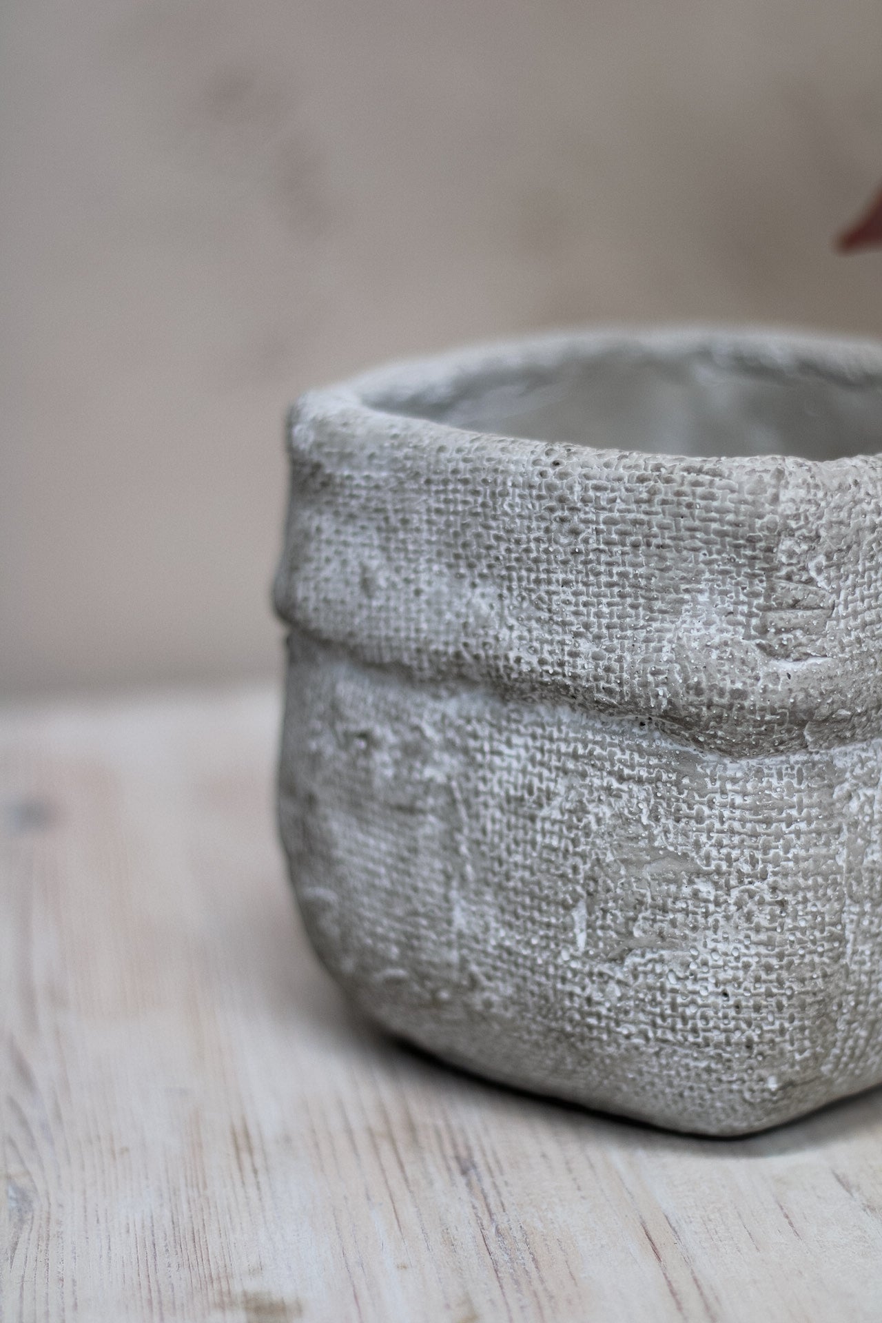 Textured Cement Flower Pot