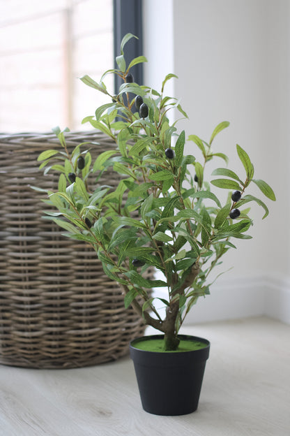 Small Faux Olive Tree