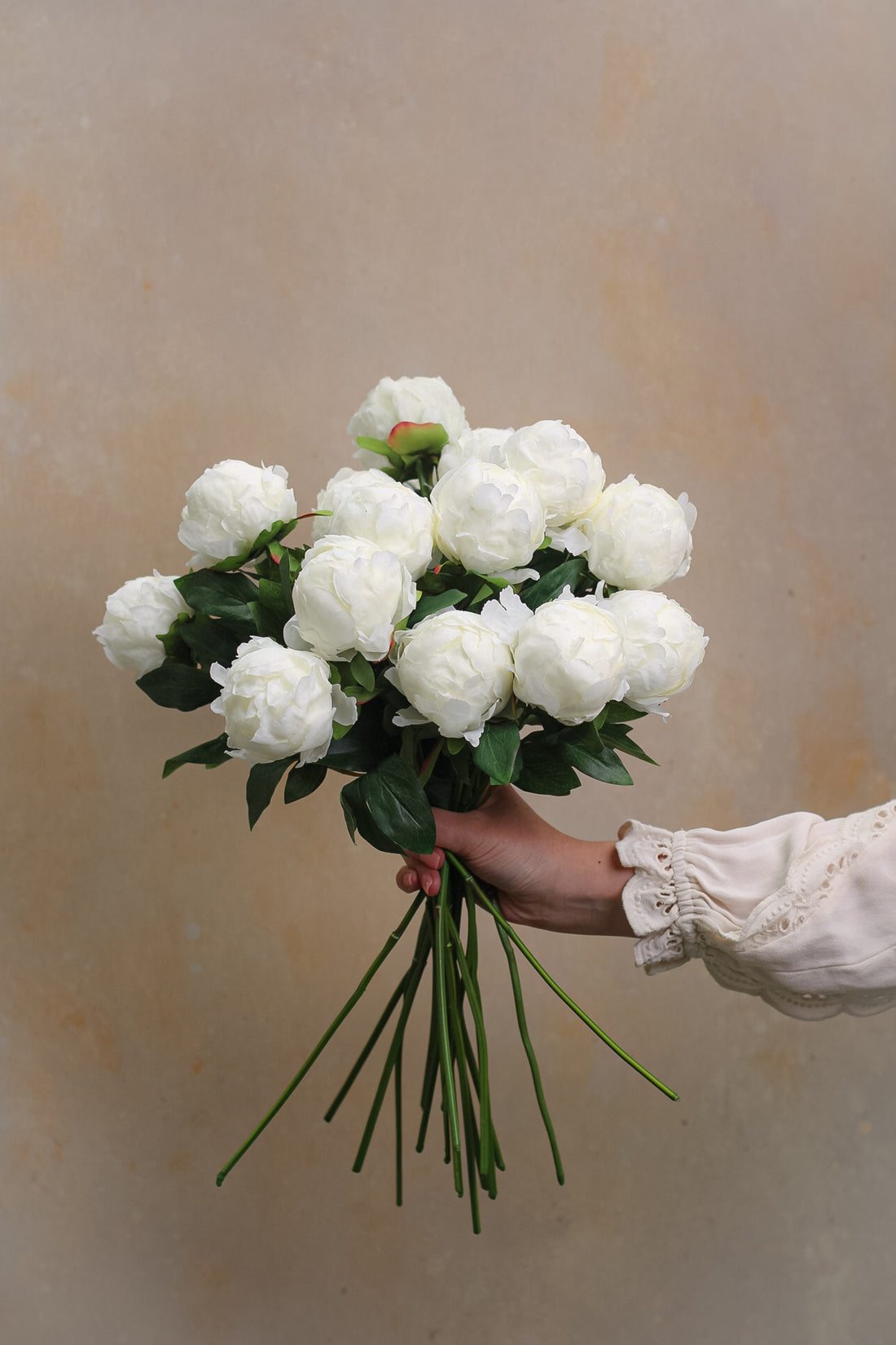 Faux White Bud Peony Stem