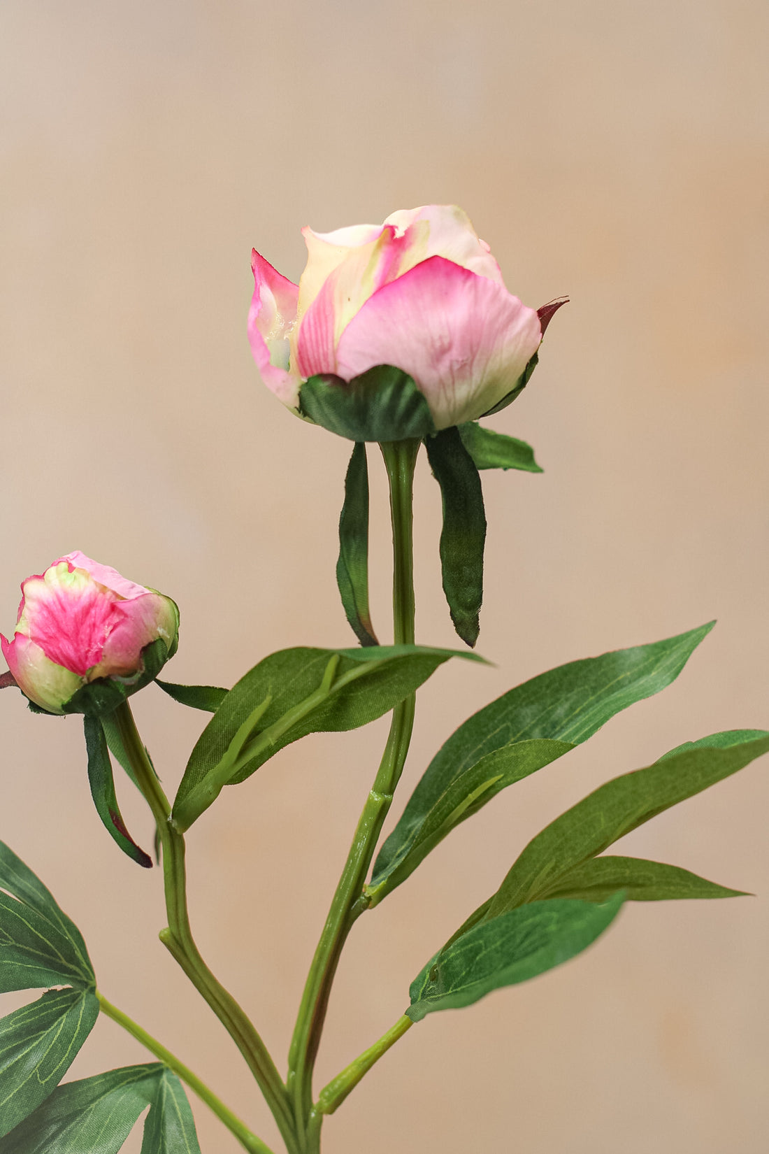 up close of faux bud peony 